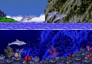 Ecco The Dolphin